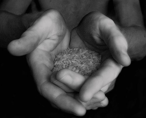 giving hands