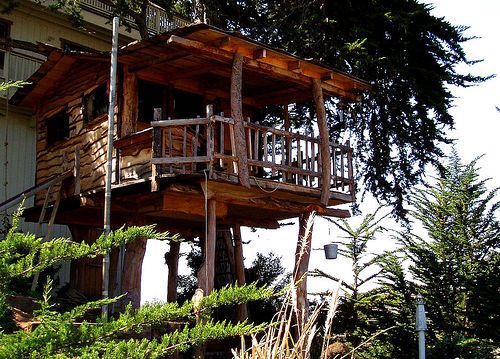 treehouse