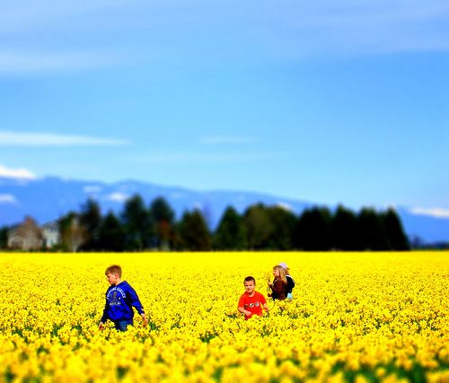 kids in a field of flowers