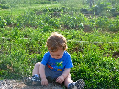 toddler visits farm