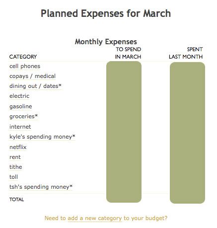 planned expenses