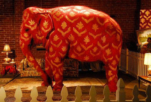 elephantintheroom