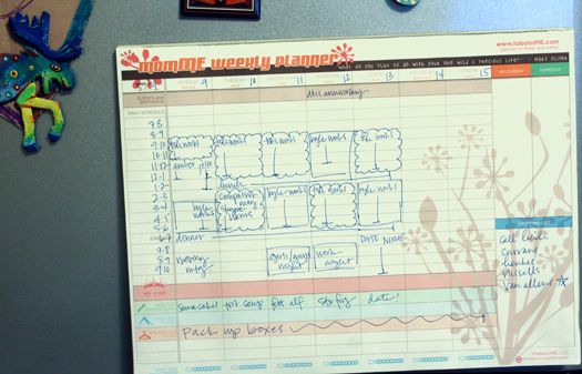 weekly schedule