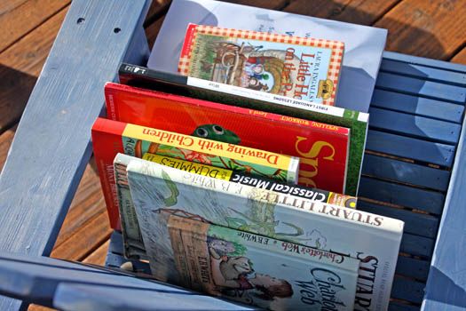 books on adirondack chair
