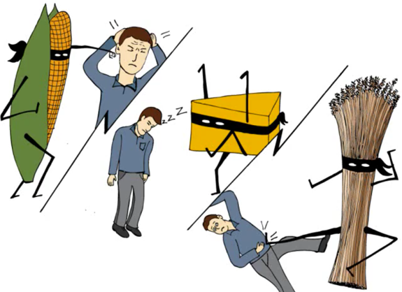 third illustration