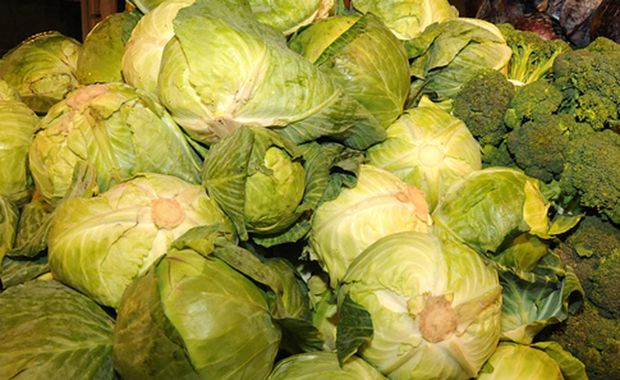 cabbages1