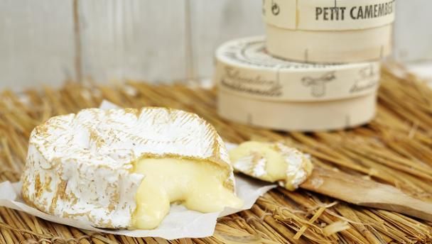 camembert cheese