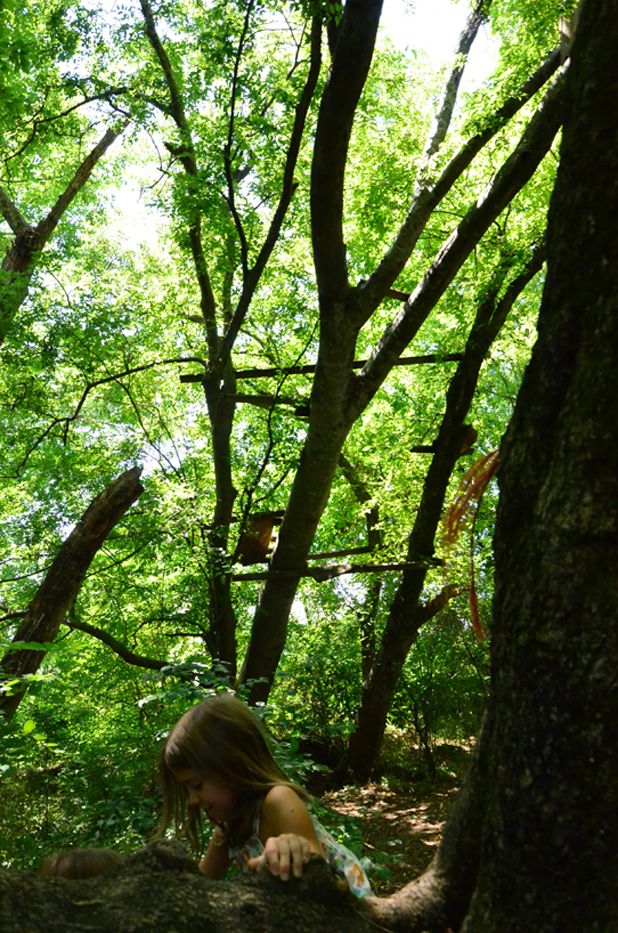 girl-climbing-tree