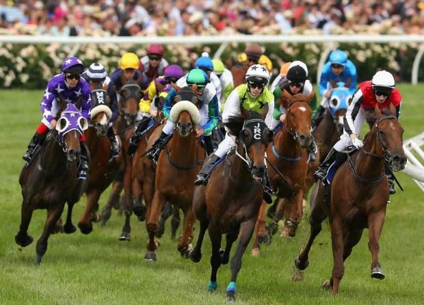 Melbourne Cup Day horses