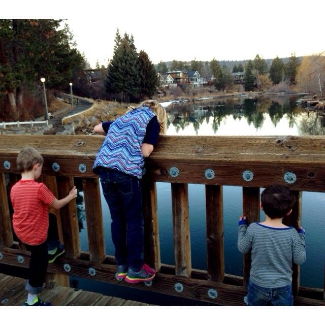 pooh sticks on the bridge