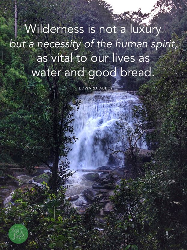 "Wilderness is not a luxury but a necessity of the human spirit, as vital to our lives as water and good bread." -Edward Abbey