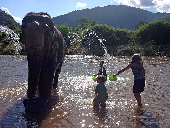 elephant bathing