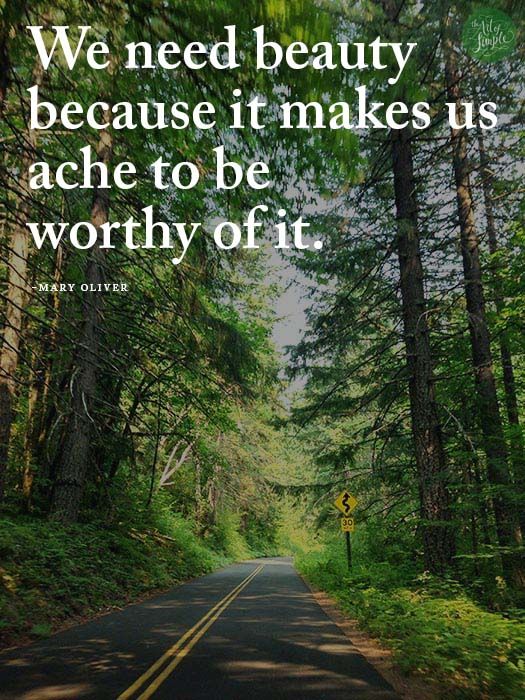 We need beauty  because it makes us ache to be  worthy of it. -Mary Oliver