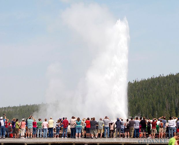 old faithful photographing