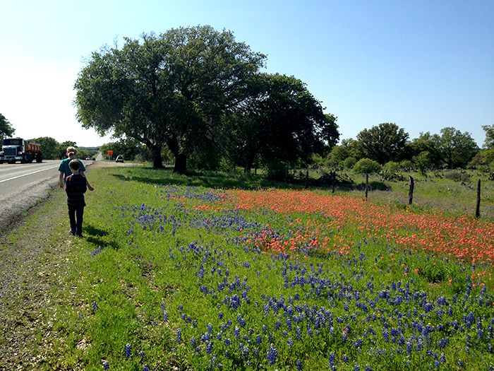 When roadside wildflowers are essential to your soul.