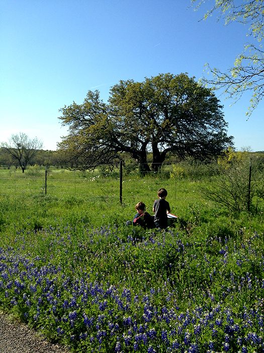 When roadside wildflowers are essential to your soul.