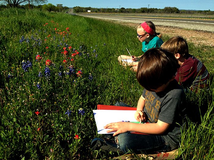 When roadside wildflowers are essential to your soul.