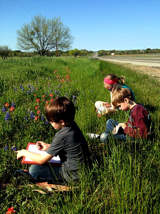 When roadside wildflowers are essential to your soul.