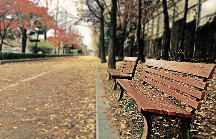 benches